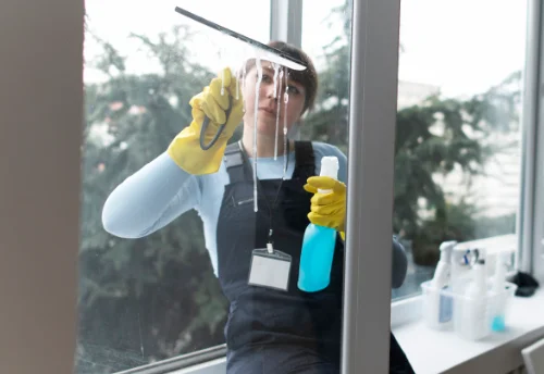 Nettoyage de vitres intérieures et extérieures à Serriera